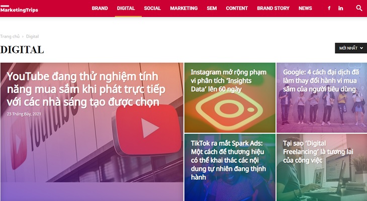 Website Marketing Trips