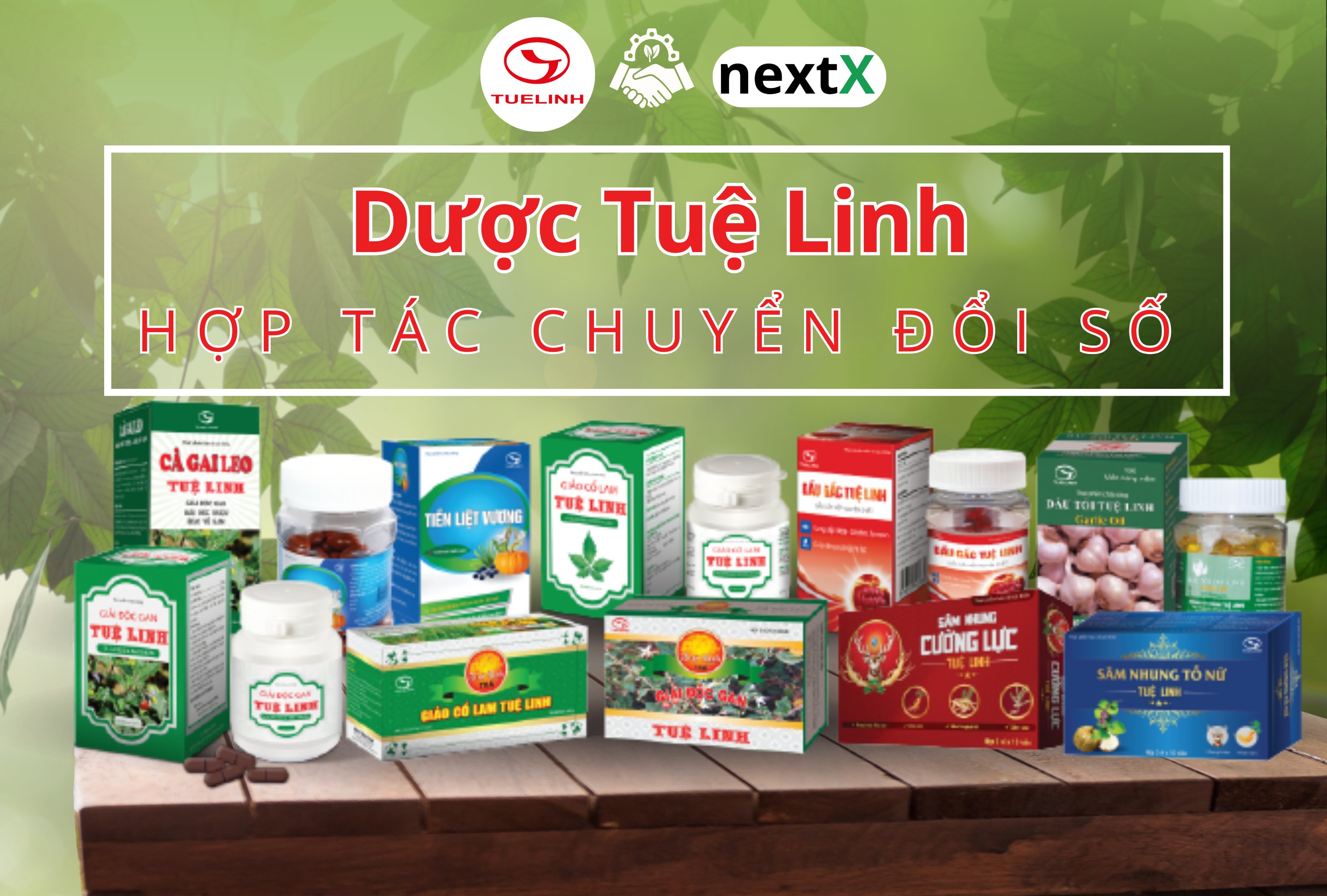NextX nỗ lực đưa sản phẩm tốt nhất tới Dược Tuệ Linh