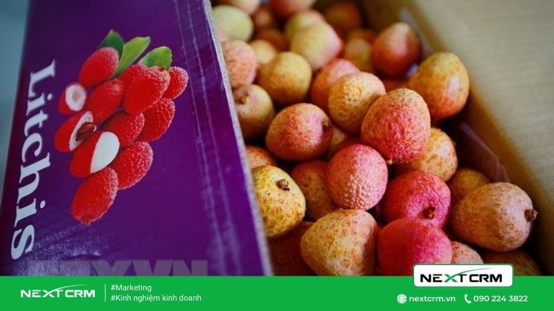 Làm thế nào để trở thành nhà xuất khẩu nông sản 