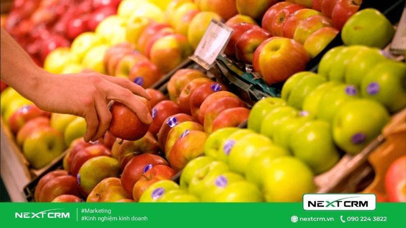 Làm thế nào để trở thành nhà xuất khẩu nông sản 