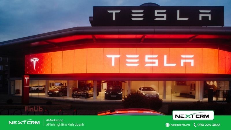 Mô hình kinh doanh của Tesla - "đầu sỏ" tại lĩnh vực ô tô
