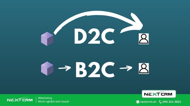 So sánh D2C và B2C điểm khác biệt nằm ở đâu trong 2 mô hình