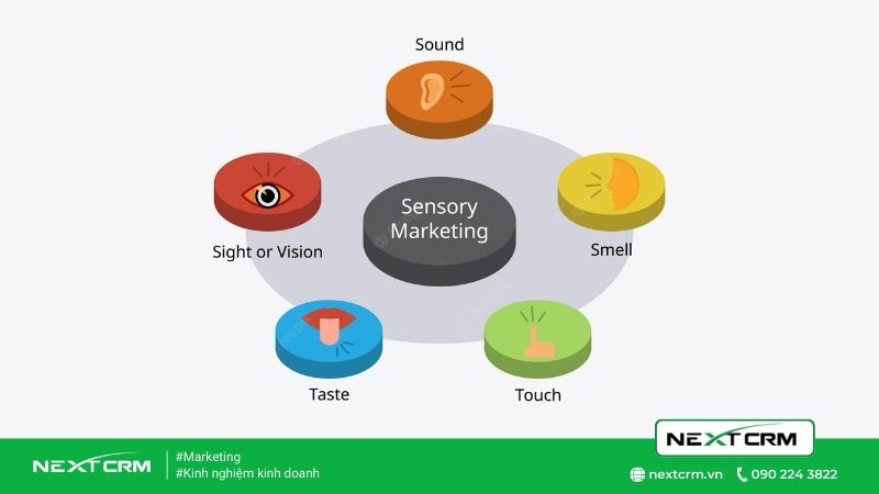 Năng lực của Marketing Sense là gì mà lại hay đến thế?