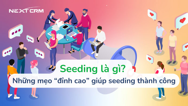 Seeding là gì? Những mẹo “đỉnh cao” giúp seeding thành công