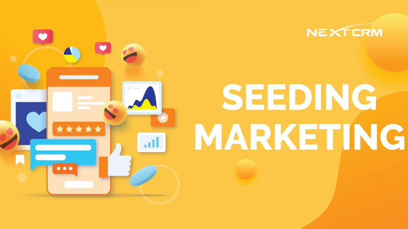 mẹo-seeding-thành-công