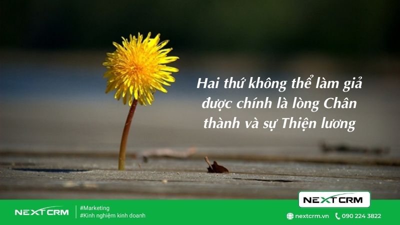 Có 2 điều không thể giả vờ đó là lòng Chân thành và sự Thiện lương
