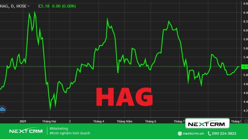 Đôi nét về cổ phiếu HAG - Công ty Cổ phần Hoàng Anh Gia Lai