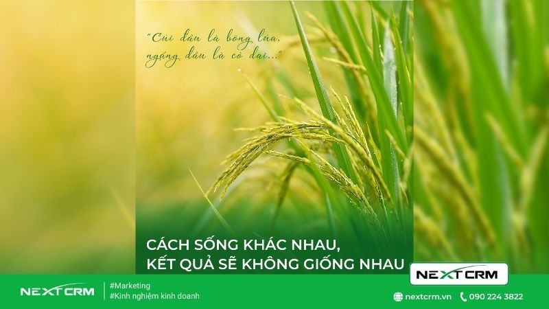 khiêm tốn không chỉ là nhường nhịn (3)