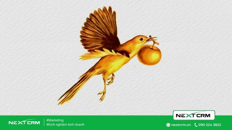 Câu chuyện người tiều phu và con chim bạc hoá chim vàng