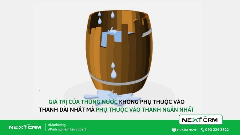Nguyên lý thùng gỗ: Bài học về phát triển bản thân và đội nhóm