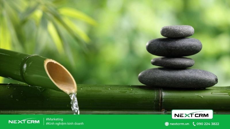 Thiền - tiếng thét cuộc đời hoá thành bài ca trong sáng