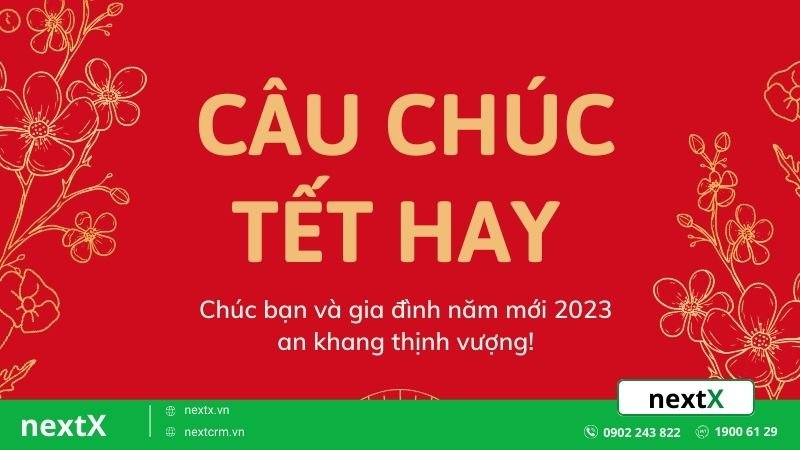 Bỏ túi 10+ câu chúc Tết hay và ý nghĩa dành tặng cho gia đình và bạn bè