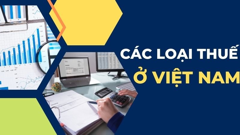 Định nghĩa, vai trò, phân loại thuế và các loại thuế ở Việt Nam