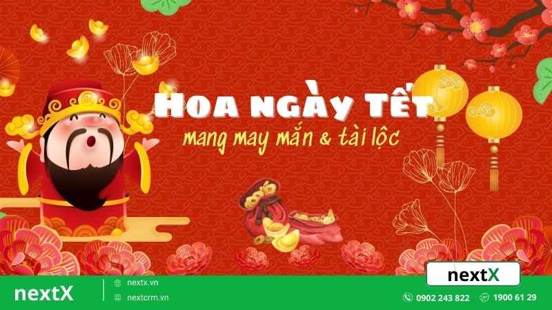 8 loài hoa ngày Tết mang vận may tài lộc dồi dào cho gia chủ