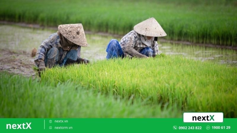 Truyền thống lịch sử về Hội Nông dân Việt Nam 14/4/1930