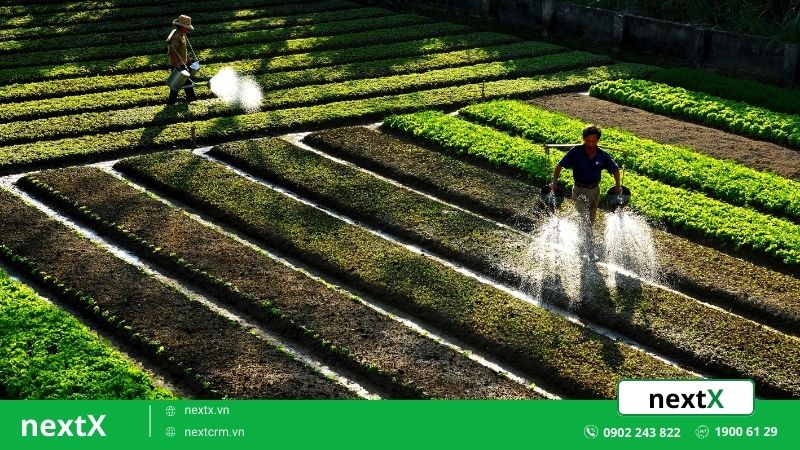 Truyền thống lịch sử về Hội Nông dân Việt Nam 14/4/1930