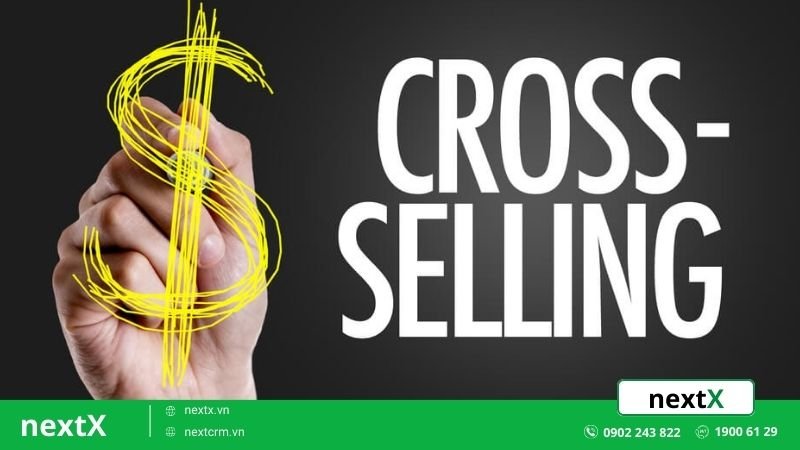 Cross Sell là gì? 5 Sai lầm không phải ai cũng biết khi áp dụng