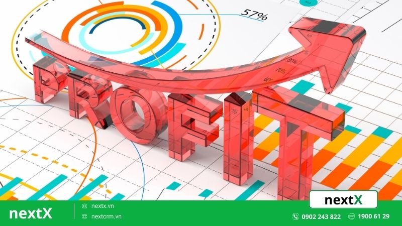 lợi nhuận gộp và lợi nhuận ròng