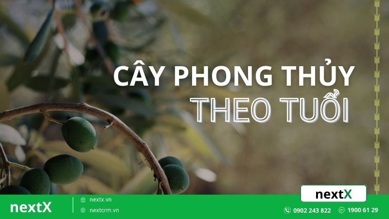 12 loại cây phong thủy theo tuổi giúp gia chủ thu hút năng lượng mới 