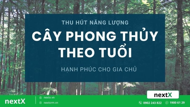 12 loại cây phong thủy theo tuổi giúp gia chủ thu hút năng lượng mới