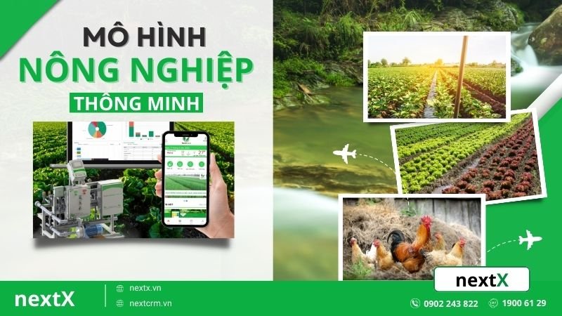 4 Mô hình nông nghiệp thông minh được tiên phong triển khai ở Việt Nam