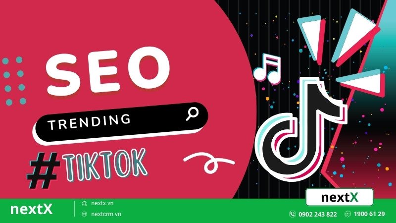 Bật mí mẹo 7 bước SEO Tiktok lên hot search nhanh chóng đơn giản