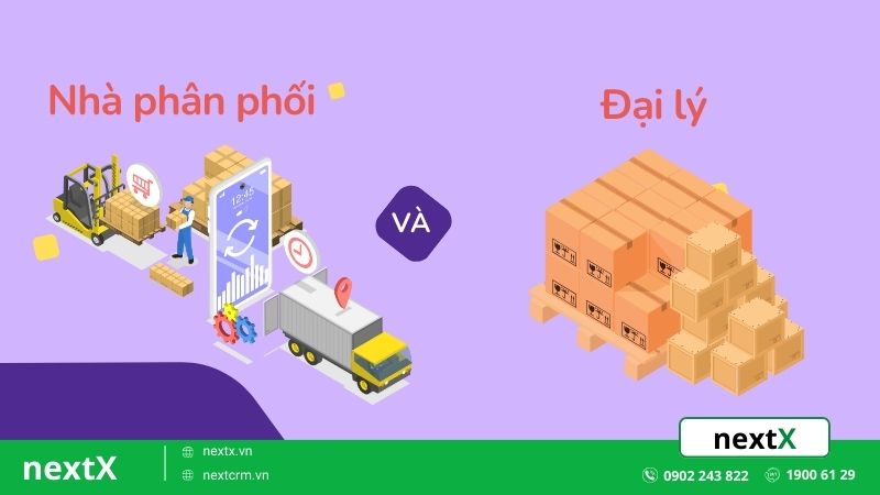 nhà phân phối và đại lý