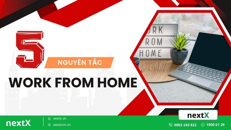 Khám phá 5+ nguyên tắc giúp Work from home hiệu quả mà bạn cần nắm rõ