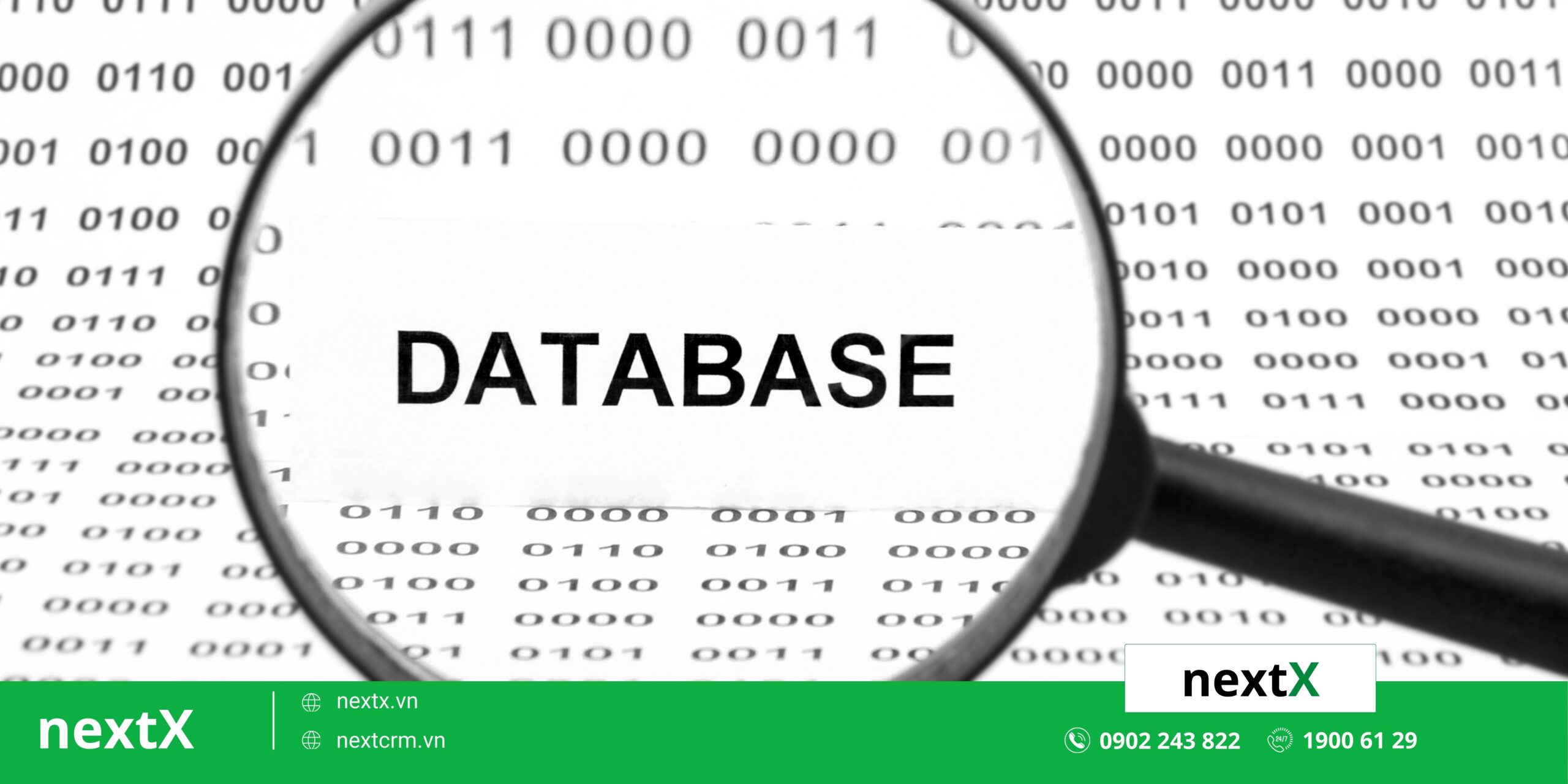 Cơ sở dữ liệu khách hàng