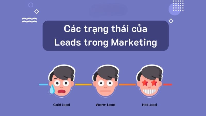 Các loại Sale Lead phổ biến 