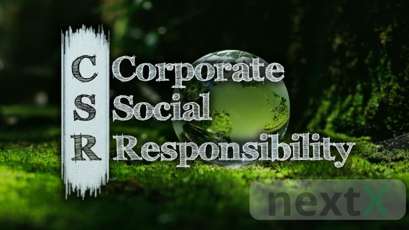 CSR là gì? Vai trò CSR giúp doanh nghiệp phát triển bền vững
