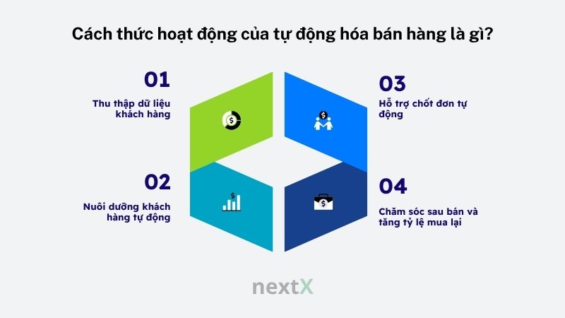 cach thuc hoat dong cua tu dong hoa ban hang la gi