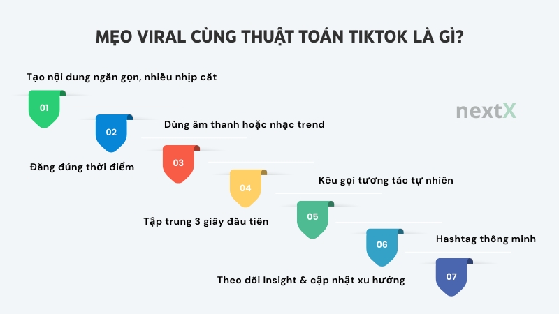 meo viral cung thuat toan la gi