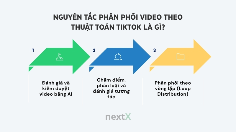 nguyen tac phan phoi video theo thuat toan tiktok la gi