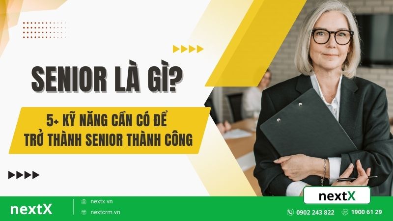 Senior là gì? 5+ Kỹ năng cần có để trở thành Senior thành công