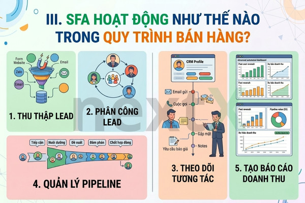 SFA hoat dong ntn