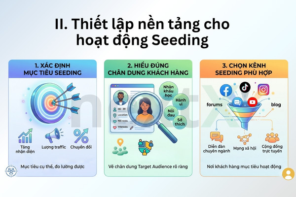 nen tang seeding hieu qua